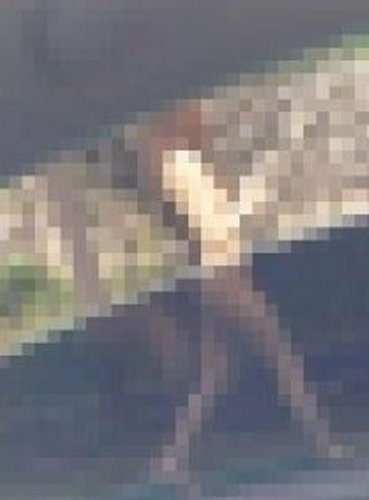 ' ˸'  ƴϴ١SNS ٰž ݴ   