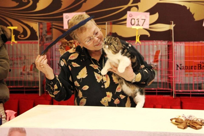 Ĺ ҽþ  ڸ(CAT FANCIERS OF KOREA) 1ȸ CFA Ĺ 19   
