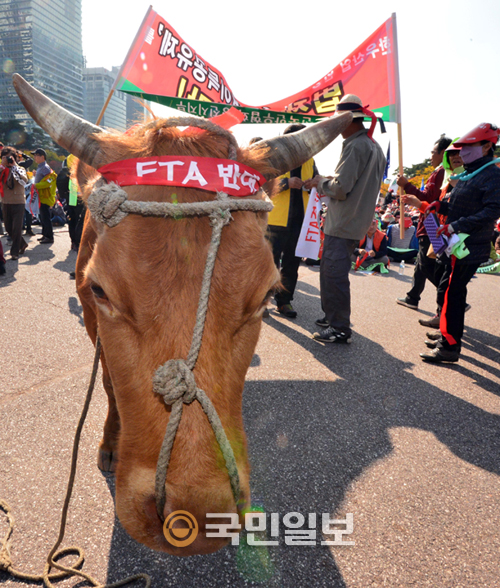 [] FTA ȸ ݴ롤 ȱȸ    