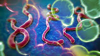   ȯ ù ߻ ̱ ִ   Ȯ  