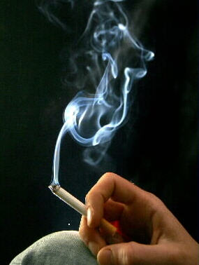 Ǻ ȸ  ڷ ְ̡  Ҽ 2   