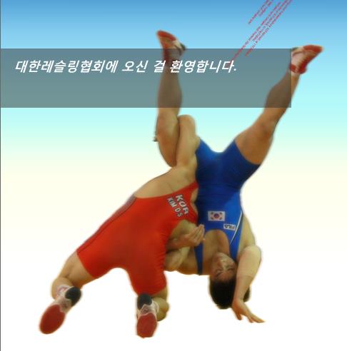 ȸ      ȸ ᱹ   