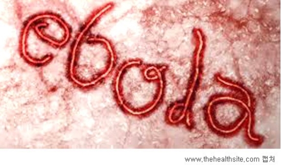 ε ù  缺 ڱ  ݸ  