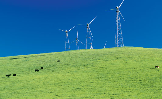 [δ] û ô Green USA  