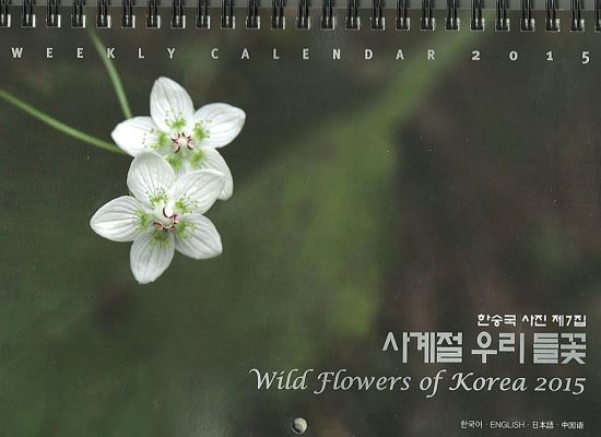 ۰ ѽ± 츮  ϳ  䡱   ޷   