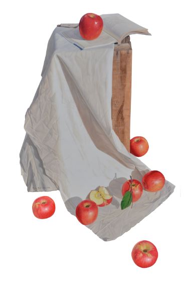 'ܿ￡  ׸  ϴ' ¥     ׸  ȭ 17ϱ   