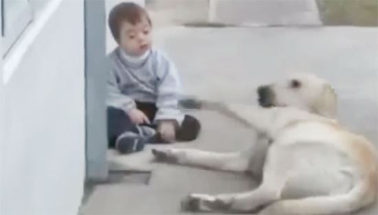 [] ٿı ̿    