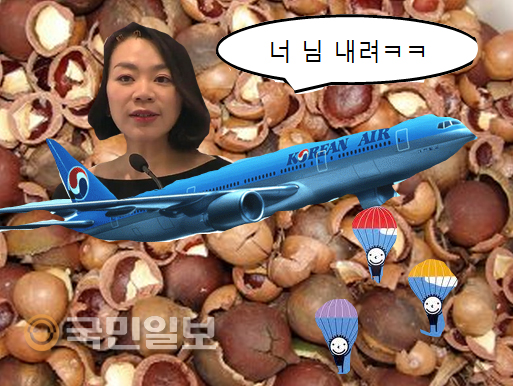 ‘땅콩과 함께 리턴하겠다’ 사퇴하겠다는 조현아가 ‘리턴’ 위해 남겨둔 자리  