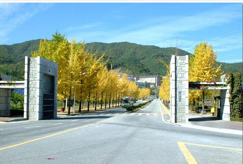   ȣϴ  롯  