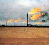 ް   Ϸ  ٽ WTI 4.2%  