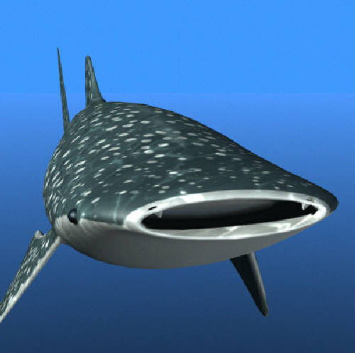 ȣ  ̺ġ  ̰    