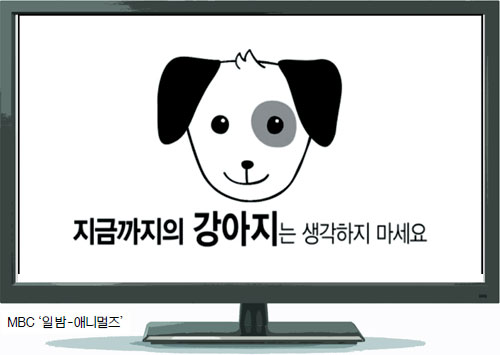 TV α׷ ٣  