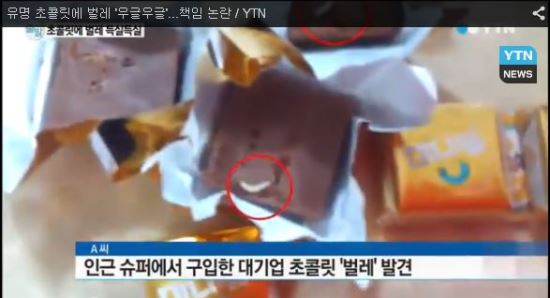 유명 초콜릿에 애벌레 ‘득실’…제조과정 vs 유통과정 공방  