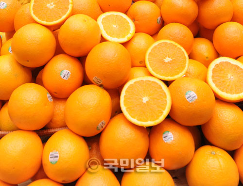 오렌지 주스 비타민 C 함유량 천차만별-국민일보