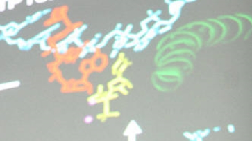    10   DNA Ҵ  