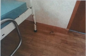 ̽Ű   ء ׾ ƹ Ű Ƚ  