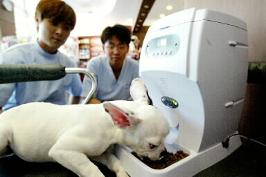 동물 먹는 배합사료 식품일까 아닐까?  