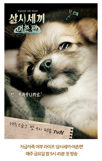 삼시세끼 마스코트 산체, 출연비 0원 사연은?  