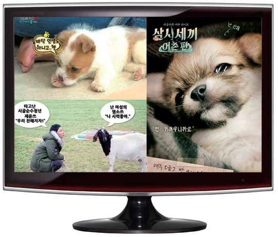   Ÿ顯  뼼   