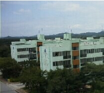 배관 타고 창문으로 침입…  억대 빈집털이 3명 구속  