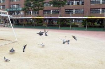 경기도 초·중·고교 설연휴 주차장 개방  