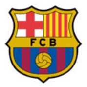 FIFA  ٸγ,   ɡ  Ұ  