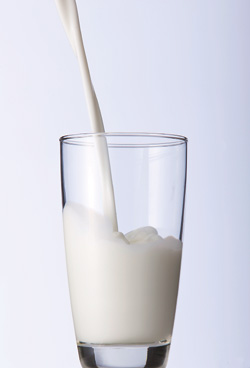  ȸ , ׻ ҡ ҾȺ ֶ  