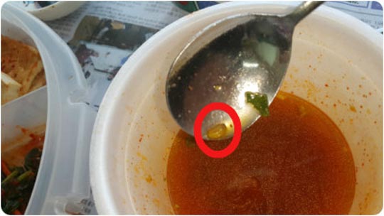 육개장 컵라면서 벌레가… 찾아온 영업사원 “타사 제품서도 나와요”  