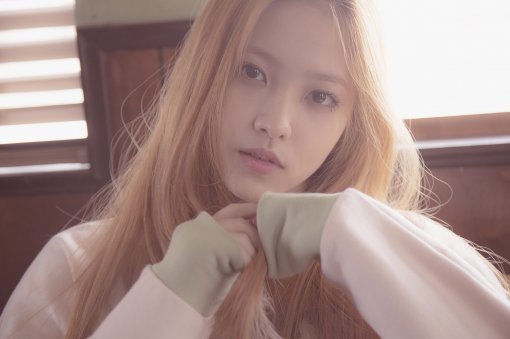SM, 레드벨벳 새 멤버 예리 공개… 12세에 캐스팅 된 ‘기대주’  