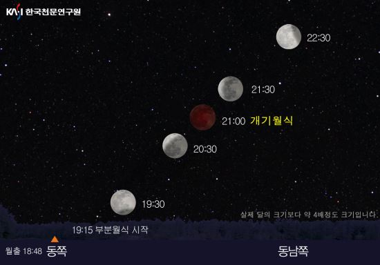 44 츮󿡼      