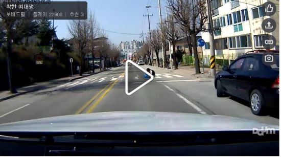 [영상]로드킬 당한 멍멍이 거둬주는 여대생… 이리 착해도 되는 거야？  