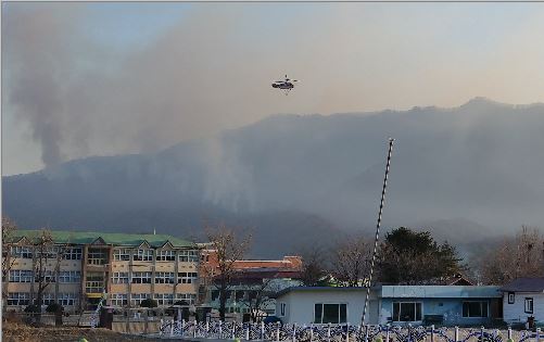 강원도 홍천 인제서 산불… 바람 불어 진화 애 먹어  