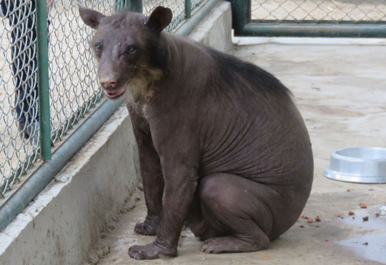 [ȸ õ ̾߱ 7]   Ŀ ݸŸ   ڸ ãҳ׿ ()  