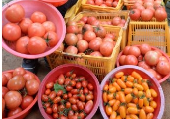 Һڹ 4  0%  