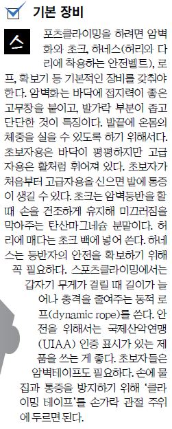 [‘스포츠클라이밍’ 매력에 빠진 사람들] 한 손 한 발 내딛다보면 막막했던 벽, 그 정상에 서다  
