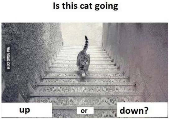 ̴    ? 2 巹 ?  