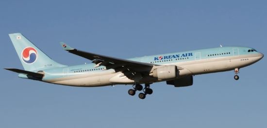 대한항공 여객기 프놈펜서 버드스트라이크, 출발 지연  