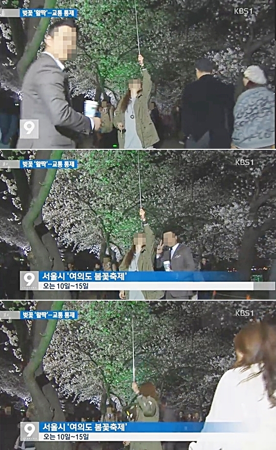 “푸하하! 이 남자 뭐야? 왠지 멋있어”… 낯선 여자와 찰칵! 벚꽃 시크남 화제  