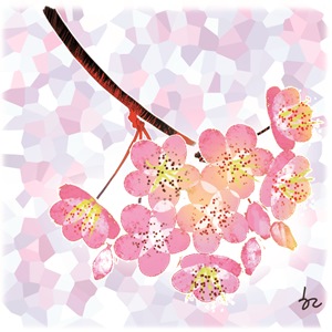 [ھ]    