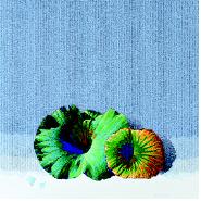   ̼ ̼ 10ֳ Ʈ18ϡ25  Ѱ̼  