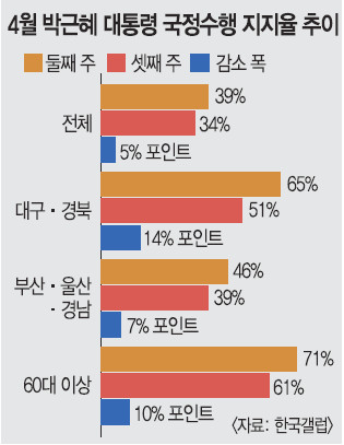    5%P ϶ 34%  Ʈ ǿ  