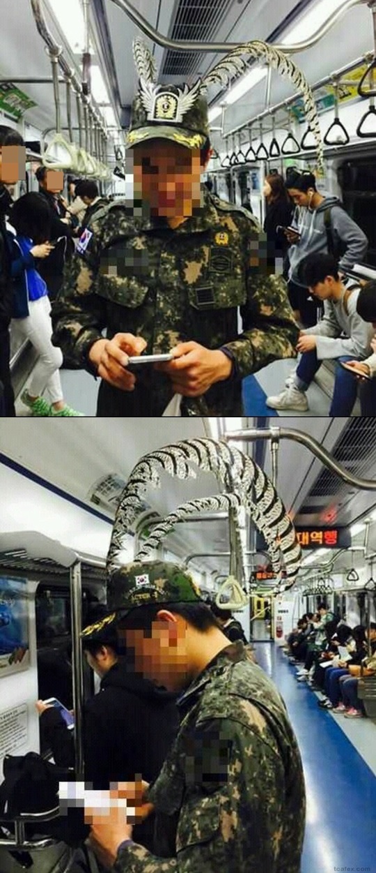   󸶳 顦ȭ  Ȱ ȯ⡱  