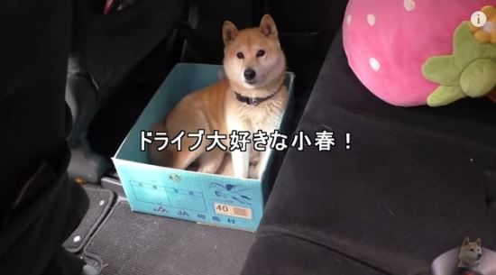 []  ̿䡱 ڸ     