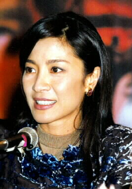 '와호장룡' 여배우 양자경, 네팔 대지진서 무사 탈출 “네팔 친구들에 위로”  