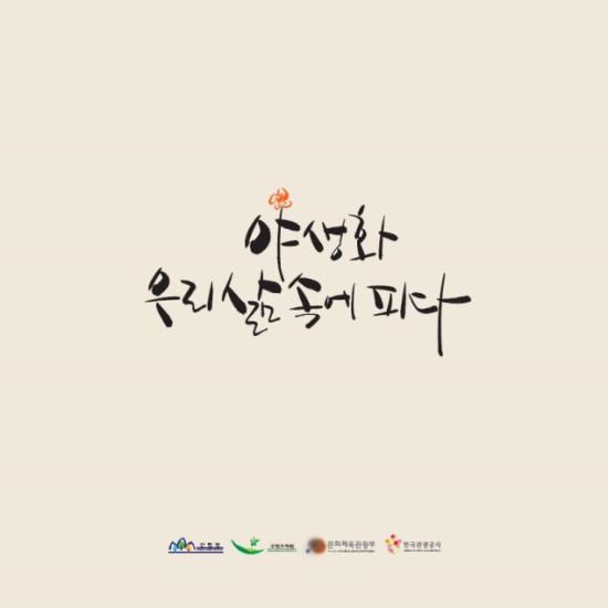 츮 ߻ȭ ŷ ûʹ ä 5 5~8 2 Ư ȸ  