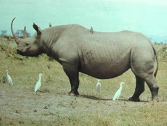  2, ũ и   ü Ͻ弭 ݺ ΰ ŷ  