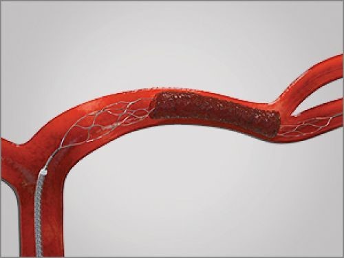  ȯ,  8ð ̻ ڸ ߡ   