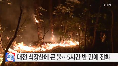 대전 식장산 화재, 방화 가능성 조사  