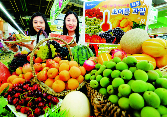[포토] 쏟아져 나온 여름과일  