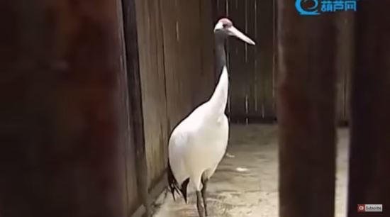 ȣ   ϴ бǡ   η  
